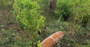 Petro vs. Noboa y Guerra Diplomática – La Voz del Altiplano