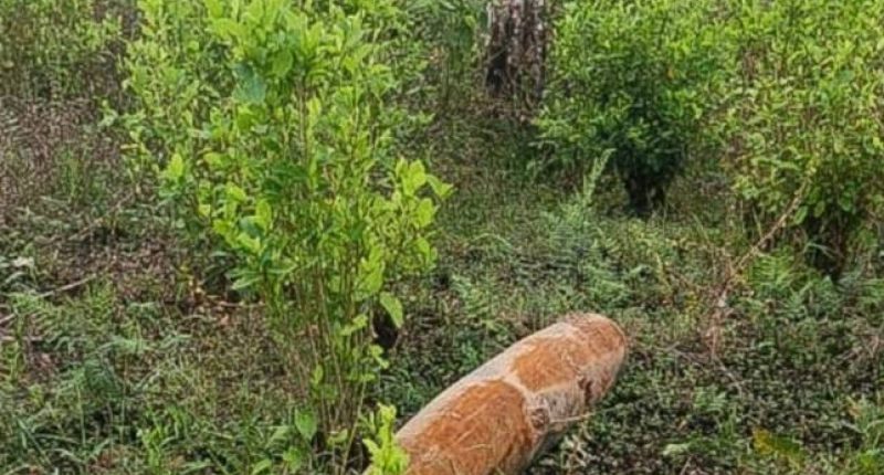 Petro vs. Noboa y Guerra Diplomática – La Voz del Altiplano