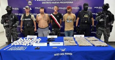 Policía desmantelan guarida de delincuentes y cae ‘Wiwi’ – La Voz del Altiplano