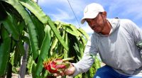 Ecuador elimina aranceles y flexibiliza ingreso de productos estadounidenses tras la firma de acuerdo – La Voz del Altiplano