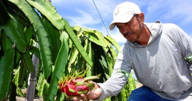 Ecuador elimina aranceles y flexibiliza ingreso de productos estadounidenses tras la firma de acuerdo – La Voz del Altiplano