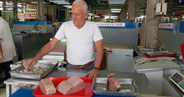 Peces pequeños escasean y el precio del picudo ya está por las ‘nubes’ – La Voz del Altiplano