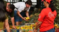 Alimentos recuperados benefician a 1.672 personas en Guayaquil – La Voz del Altiplano