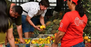 Alimentos recuperados benefician a 1.672 personas en Guayaquil – La Voz del Altiplano