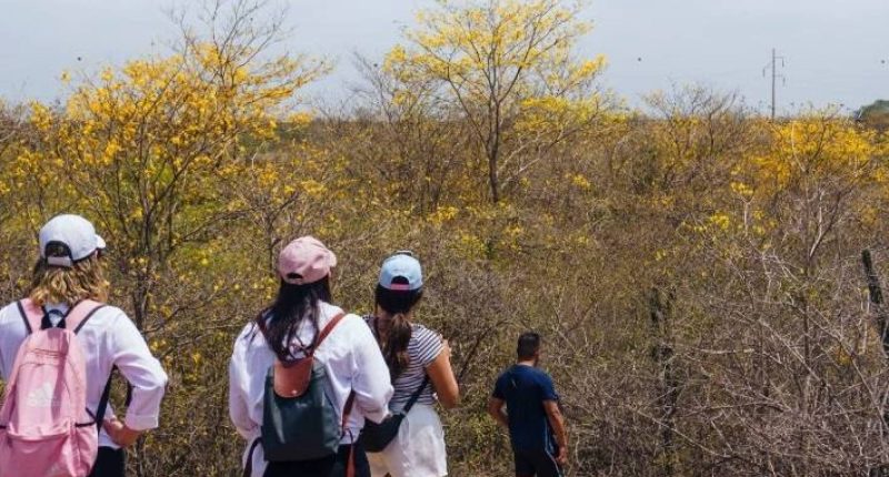 Nueva Área de Conservación en Guayaquil – La Voz del Altiplano