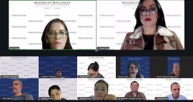 Asamblea aprueba informe para ley de salud mental infantil – La Voz del Altiplano