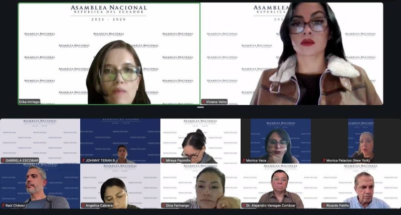 Asamblea aprueba informe para ley de salud mental infantil – La Voz del Altiplano