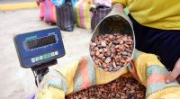 Seis cantones de Manabí tardaron más de una década en igualar la economía de Cuenca – La Voz del Altiplano
