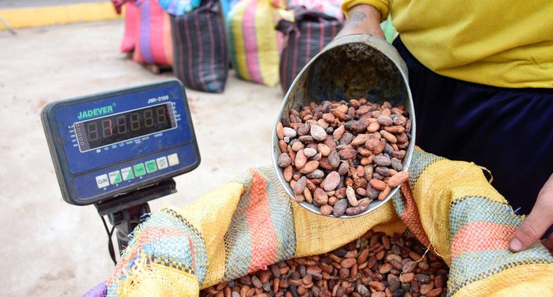 Seis cantones de Manabí tardaron más de una década en igualar la economía de Cuenca – La Voz del Altiplano