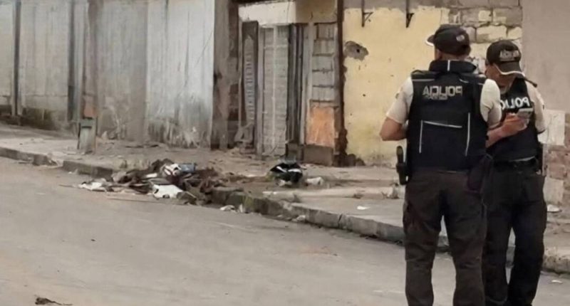 Perro descubre cabeza humana en Puerto Bolívar – La Voz del Altiplano