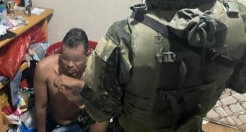 Un detenido y evidencias de droga – La Voz del Altiplano