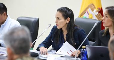 Ecuador busca empresa para central eléctrica – La Voz del Altiplano