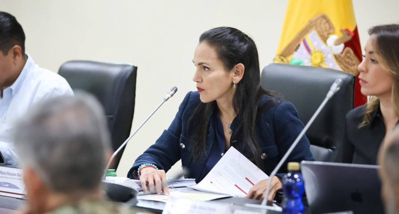 Ecuador busca empresa para central eléctrica – La Voz del Altiplano