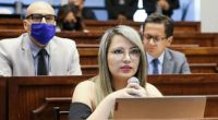Priscila Schettini demanda a Asamblea Nacional – La Voz del Altiplano