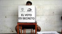 Demandan al CNE ante la Corte Constitucional por adelanto de elecciones – La Voz del Altiplano