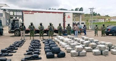 Descubren media tonelada de droga en camión – La Voz del Altiplano