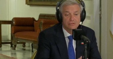 Desvinculación de funcionaria con cáncer causa polémica en Chile – La Voz del Altiplano