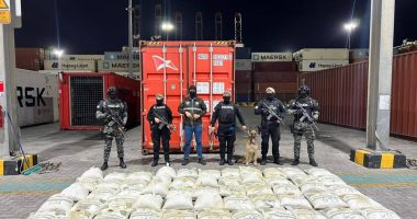 Incautan 1,34 toneladas de cocaína ocultas en contenedor – La Voz del Altiplano