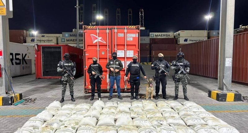 Incautan 1,34 toneladas de cocaína ocultas en contenedor – La Voz del Altiplano