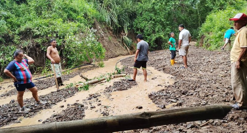 Montecristi se une contra la deforestación este sábado – La Voz del Altiplano