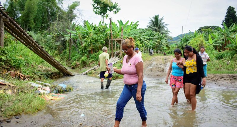 Colapso de puente peatonal deja a varios heridos y preocupación en las comunidades – La Voz del Altiplano