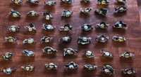 Policía detiene envío de cocaína a EE.UU. en dulces – La Voz del Altiplano