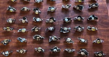 Policía detiene envío de cocaína a EE.UU. en dulces – La Voz del Altiplano