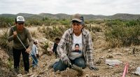 Más 130 mil personas desaparecidas en México desde 2006 – La Voz del Altiplano