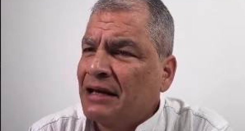 «Noboa es solo trampa con empleados del CNE» – La Voz del Altiplano