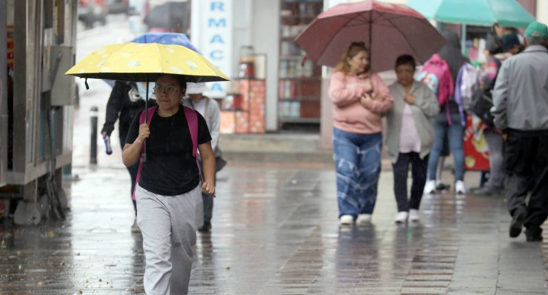 CNE ajusta calendario electoral por llegada de El Niño – La Voz del Altiplano
