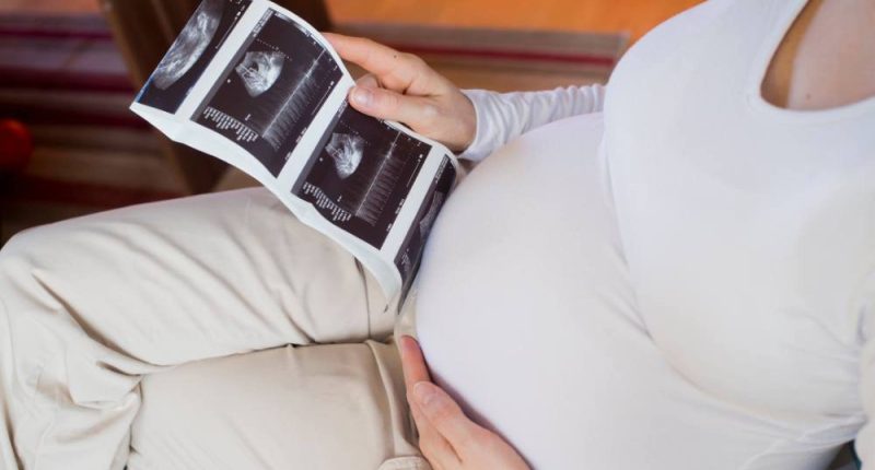 Historia del Día del Niño por Nacer: 25 de marzo – La Voz del Altiplano