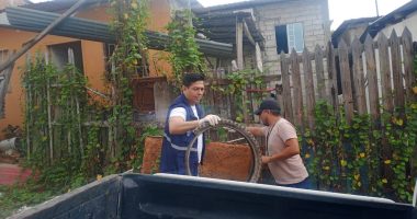 brigadas activas en los esteros – La Voz del Altiplano