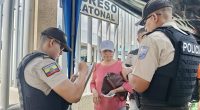 Saturación de la Agencia de Tránsito de Manta: Malestar Ciudadano – La Voz del Altiplano