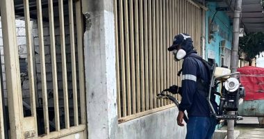 Aumentan casos y refuerzan fumigación – La Voz del Altiplano