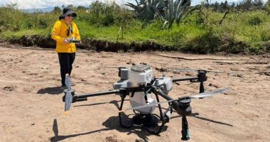 Dispersión de semillas en Quito – La Voz del Altiplano