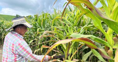 El déficit de lluvias en Manabí preocupa al sector agrícola – La Voz del Altiplano