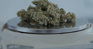 Condena de 12 años por tráfico de marihuana en Ambato – La Voz del Altiplano