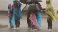 Advertencia de lluvias intensas en 22 provincias hasta el 25 – La Voz del Altiplano