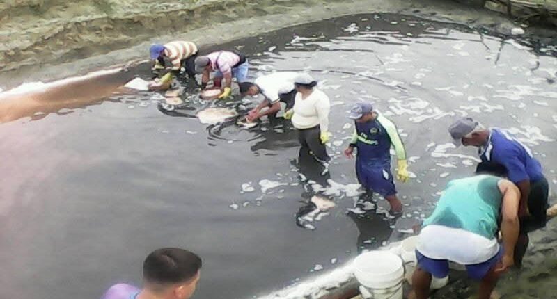 Pérdida de playa en Crucita afecta producción de sal – La Voz del Altiplano