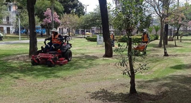 Mantenimiento de parques en Quito – La Voz del Altiplano