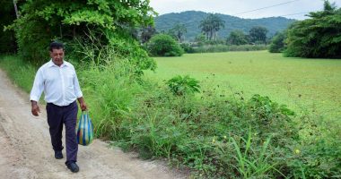 El agua salobre dejó sin uso a millonario proyecto de riego – La Voz del Altiplano