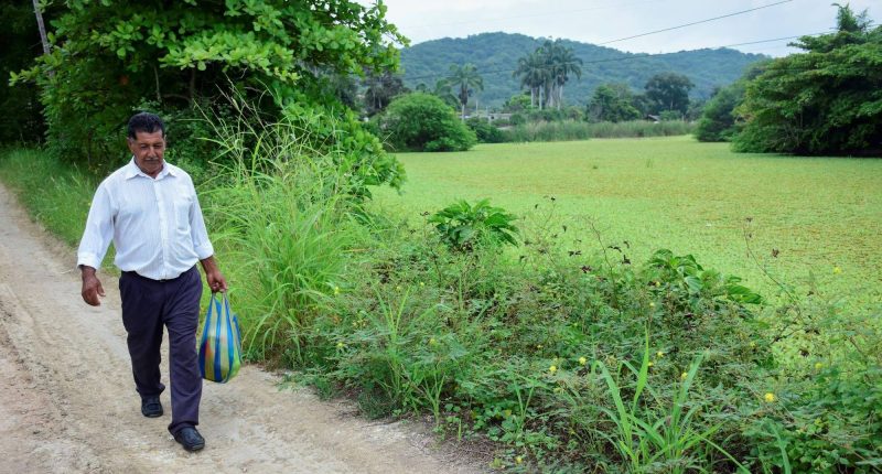 El agua salobre dejó sin uso a millonario proyecto de riego – La Voz del Altiplano
