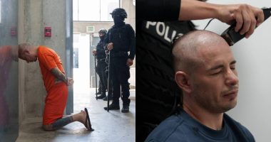 Ministro Reimberg compartió fotografías de ‘Lobo menor’ – La Voz del Altiplano