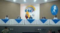 CNE suspende servicios en línea por mantenimiento en 2026 – La Voz del Altiplano