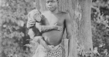 Su vida con un orangután en el Bronx Zoo – La Voz del Altiplano