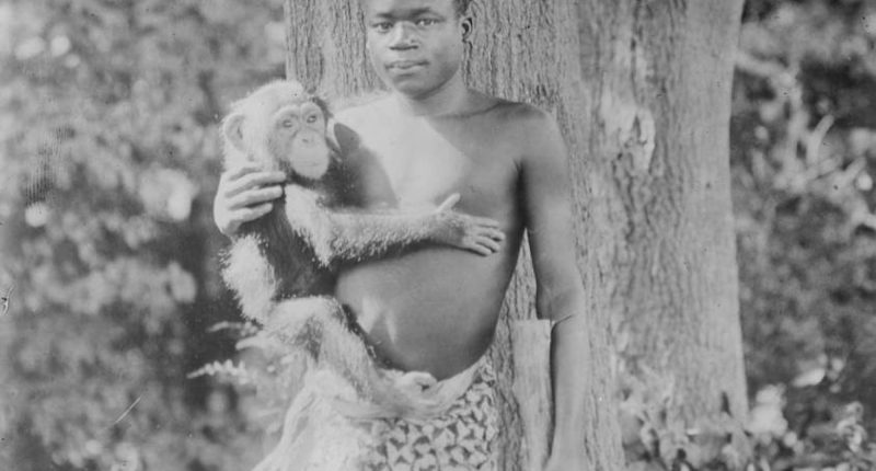 Su vida con un orangután en el Bronx Zoo – La Voz del Altiplano