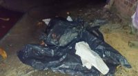 Incendio y asesinato en Babahoyo – La Voz del Altiplano