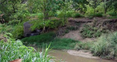 Cómo la contaminación del agua nos afecta a todos – La Voz del Altiplano