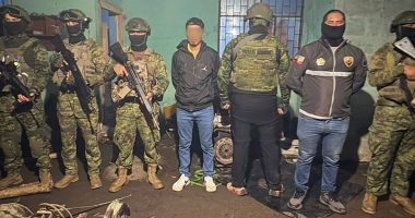 Deshuesadero en Cooperativa Las Playas: operativo – La Voz del Altiplano