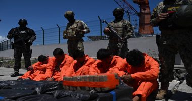 incautación de droga en Ecuador: golpe al narcotráfico – La Voz del Altiplano